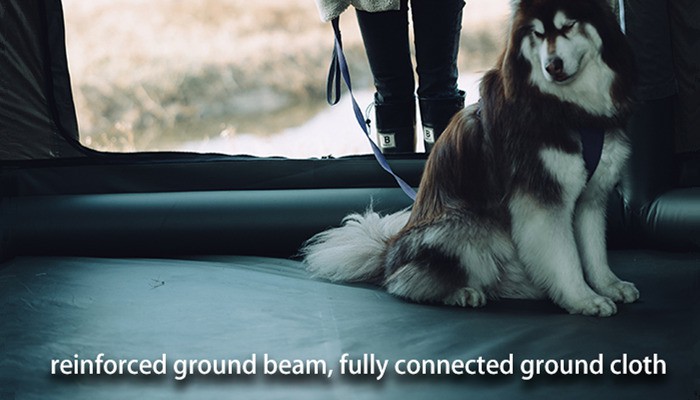 21-2024-221 21-2024-221